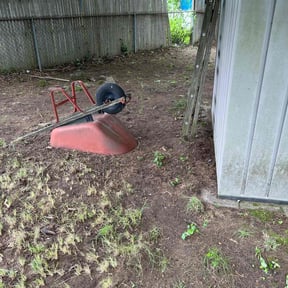 Leaf Removal by Elite Services reviewed on August 16, 2025