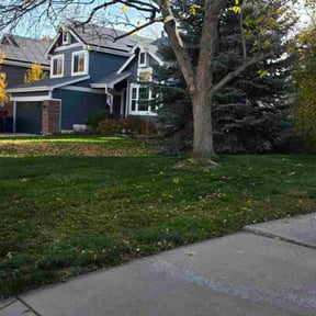 Leaf Removal by Flawless Exterior Services reviewed on November 9, 2025