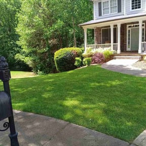 lawn service by Achieving the dream llc reviewed on August 15, 2025