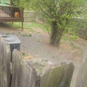 Leaf Removal by Custom Cuts reviewed on March 18, 2026