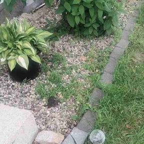 Flower Bed Weeding by True Care Your Lawn reviewed on June 14, 2026