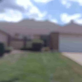 Bush Trimming by Edgar Yanez Services reviewed on July 11, 2022