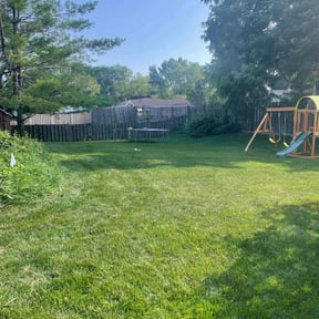 grass maintenance by Go Turf Guy reviewed on August 15, 2025