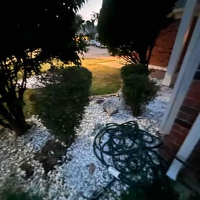 Bush Trimming by GoGreen Lawn Service reviewed on August 21, 2025