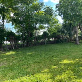 gardening service by MR Lawns LLC reviewed on November 23, 2025