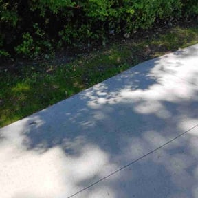 Leaf Removal by Leo's lawn Service reviewed on July 4, 2026
