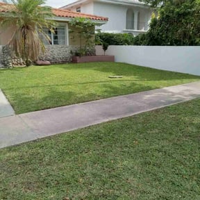 yard work by OTG Services reviewed on August 19, 2025
