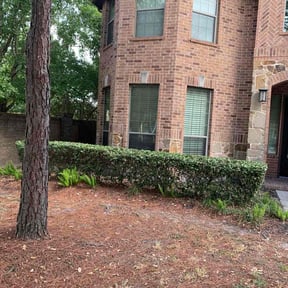 Bush Trimming by Rick and sons reviewed on May 12, 2024