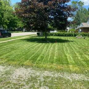 turf maintenance by Norman Boys Lawn Care reviewed on August 27, 2021