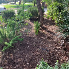 Flower Bed Weeding by Pearson's Landscaping reviewed on August 14, 2025
