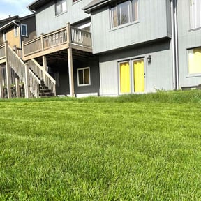 yard maintenance by K's Lawn Service reviewed on August 15, 2025