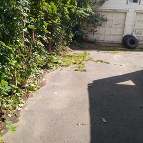 Bush Trimming by Main Lawn Care reviewed on August 18, 2025