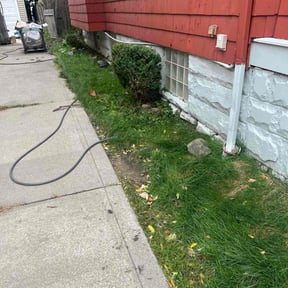 Bush Trimming by Push Mow Loudoun reviewed on October 18, 2025