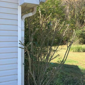 Bush Trimming by Fuse Outdoor Lighting and Landscape reviewed on August 20, 2025