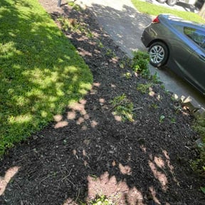Flower Bed Weeding by Together Family Landscapes LLC reviewed on August 17, 2026