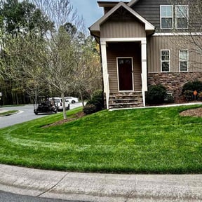 landscaping by Daniel campos reviewed on August 15, 2025