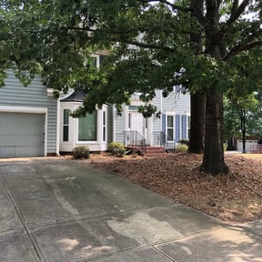 Bush Trimming by W&D Landscaping And Plowing reviewed on August 15, 2025