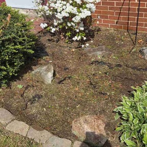 Flower Bed Weeding by TwinEagleLandscaping reviewed on May 7, 2026