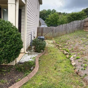 Bush Trimming by Solidlawncare reviewed on August 16, 2025