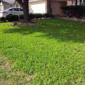 yard care by Robles Lawn Works reviewed on August 16, 2025
