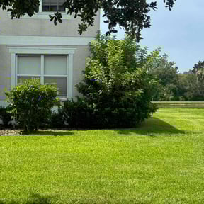 landscaping by Almanza lawn care reviewed on November 18, 2025