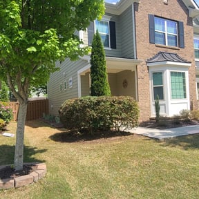 Bush Trimming by Complete Essential Services LLC reviewed on August 17, 2025