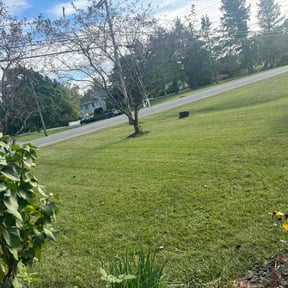 grass cutting by RK Lawncare reviewed on May 16, 2024