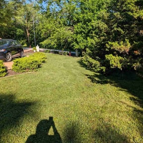 yard care by Chicago Lawn Care &amp; Snow Removal reviewed on April 21, 2024