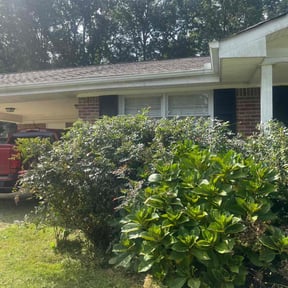 Bush Trimming by Gredig Lawn Care reviewed on October 24, 2025