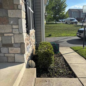 Bush Trimming by Holland Home Services reviewed on June 17, 2026