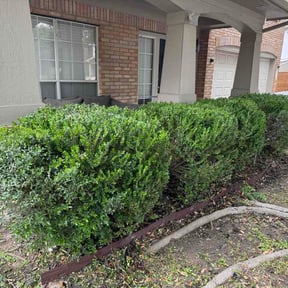 Bush Trimming by Dj's Lawn Care reviewed on May 4, 2026