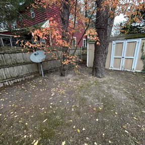 Leaf Removal by Achieving the dream llc reviewed on November 20, 2025