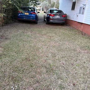 Leaf Removal by lawn of the month reviewed on July 31, 2026