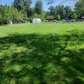 yard service by Edgar Yanez Services reviewed on August 16, 2025
