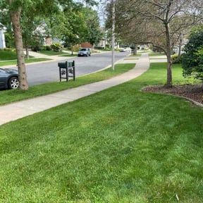 yard work by Front2Back Lawn Care Services reviewed on August 15, 2025