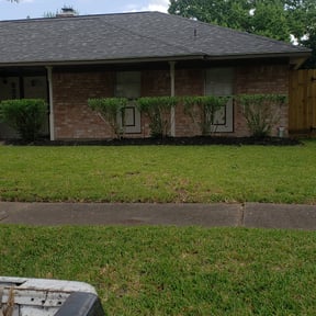 Bush Trimming by Blue Diamond Cleaning Services reviewed on August 18, 2025