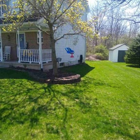turf care by D's Lawn Care reviewed on December 8, 2023
