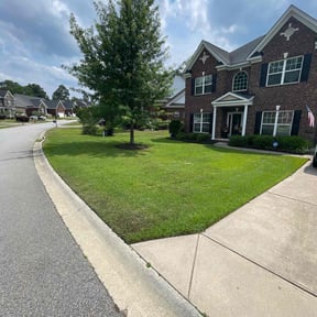 lawn care services by Branch Boy reviewed on August 20, 2025