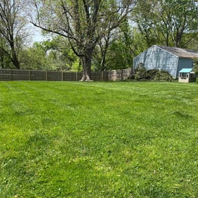turf maintenance by GrassFX Lawn Care reviewed on October 2, 2023