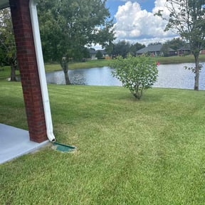 grass cutting by Lucas lawn care reviewed on July 1, 2022