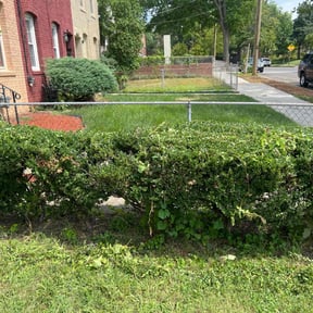 Bush Trimming by ASAIC Mowing Service LLC reviewed on August 20, 2025