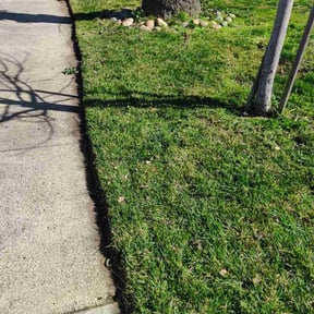 grass maintenance by B&amp;R Elite Lawn Services reviewed on May 15, 2024