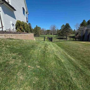 Leaf Removal by Hill’s Helping Hands reviewed on June 17, 2026