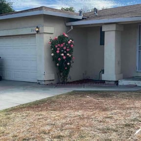 Bush Trimming by PRECISE SLICE reviewed on December 25, 2025