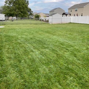 lawn care by Tonio's magic hands llc reviewed on September 11, 2024