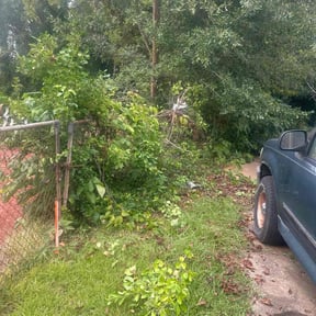 Bush Trimming by Bad Daddy Lawns reviewed on October 20, 2025