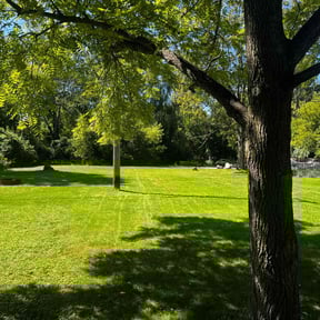 yard care by Brown's landscaping reviewed on December 4, 2025