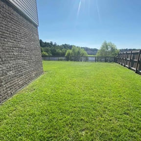 yard maintenance by Buddy's Mow Blow &amp; Go Lawncare reviewed on January 8, 2026