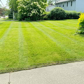 yard maintenance by Glm landscaping reviewed on August 15, 2025