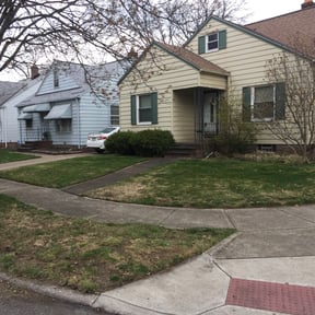 Leaf Removal by MIP reviewed on October 2, 2025